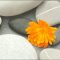 STCA5007 - HEART AMONG STONES STRETCHED CANVAS 160x100x3.5