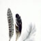 FCA5010 - PALM LEAF 2 FRAMED CANVAS 100x160x5