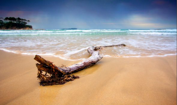 STCA5023 – LOG BEACH 1 STRETCHED CANVAS 160x100x3.5