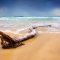 FCA5023 - LOG BEACH 1 FRAMED CANVAS 160x100x5