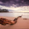 GA5024 - LOG BEACH 2 TEMPERED GLASS 140x90x0.4