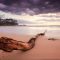 FCA5024 - LOG BEACH 2 FRAMED CANVAS 160x100x5