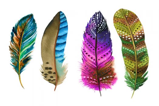 STCA5027- COLOURED FEATHERS STRETCHED CANVAS 160x100x3.5