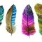 FCA5027 - COLORED FEATHERS FRAMED CANVAS 160x100x5