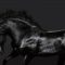 GA5030 - BLACK HORSES TEMPERED GLASS 140x90x0.4
