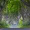 FCA5032 - GREEN FOREST PATHWAY FRAMED CANVAS 160x100x5