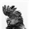 FP0028 - ANIMALS FRAMED ART PRINTS 122x92cm (image size)