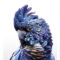 FP0031 - ANIMALS FRAMED ART PRINTS 122x92cm (image size)