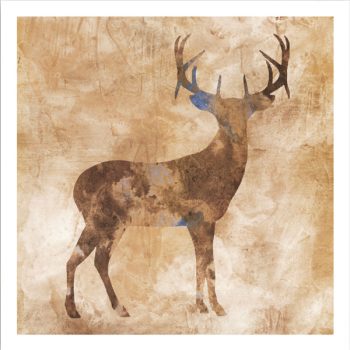 FP16626 – ANIMALS FRAMED ART PRINTS 100x100cm (image size)