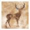 FP16626 - ANIMALS FRAMED ART PRINTS 100x100cm (image size)