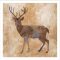 FP16627 - ANIMALS FRAMED ART PRINTS 100x100cm (image size)