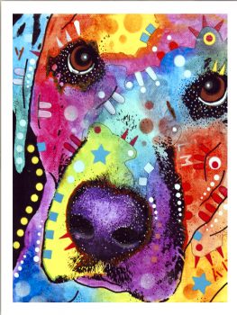 FPDEARUS115412 – ANIMALS FRAMED ART PRINTS 122x92cm (image size)