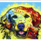 FPDEARUS115420 - ANIMALS FRAMED ART PRINTS 92x122cm (image size)