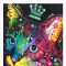FPDEARUS115435 - ANIMALS FRAMED ART PRINTS 122x92cm (image size)