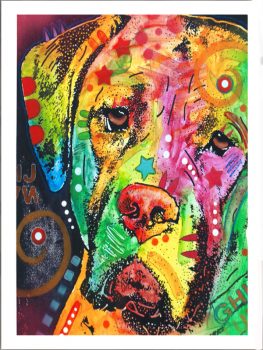 FPDEARUS120291 – ANIMALS FRAMED ART PRINTS 122x92cm (image Size)