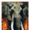 FPGC142 - ANIMALS FRAMED ART PRINTS 122x92cm (image size)