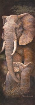 FPGOGV10256 – ANIMALS FRAMED ART PRINTS 150x50cm (image size)