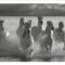 FPIG4659 - ANIMALS FRAMED ART PRINTS 92x122cm (image size)