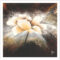 FPIG5001 - GRAPHICS FRAMED ART PRINTS 100x100cm (image size)
