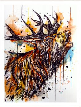 FPNY6684 – ANIMALS FRAMED ART PRINTS 122x92cm (image size)