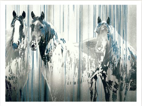FPPOD60248 – ANIMALS FRAMED ART PRINTS 92x122cm (image size)